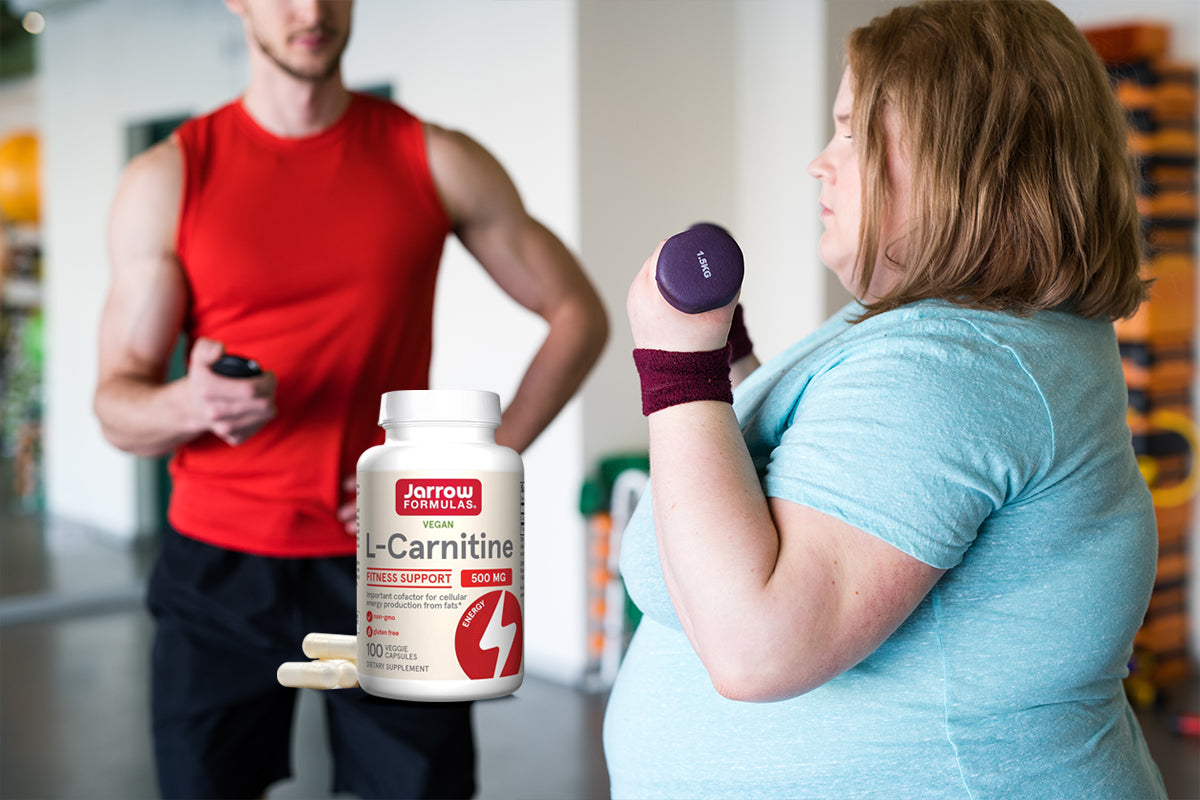 How L-Carnitine Supports Brain Focus and Fat Metabolism | DailyVita How L-Carnitine Supports Brain Focus and Fat Metabolism | DailyVita