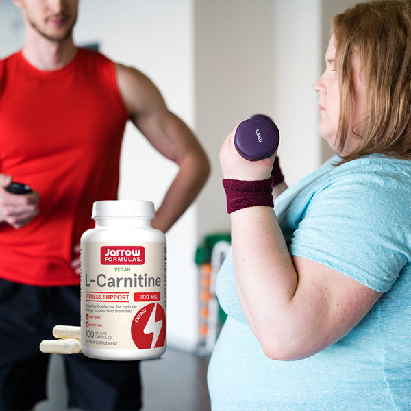 How L-Carnitine Supports Brain Focus and Fat Metabolism | DailyVita How L-Carnitine Supports Brain Focus and Fat Metabolism | DailyVita
