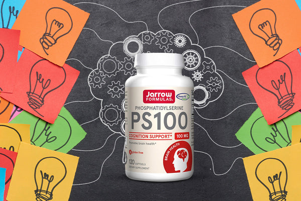 Phosphatidylserine Supplements for Brain Support