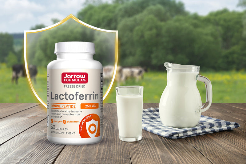 Lactoferrin Supplements: Immune Support from a Powerful Natural Protein