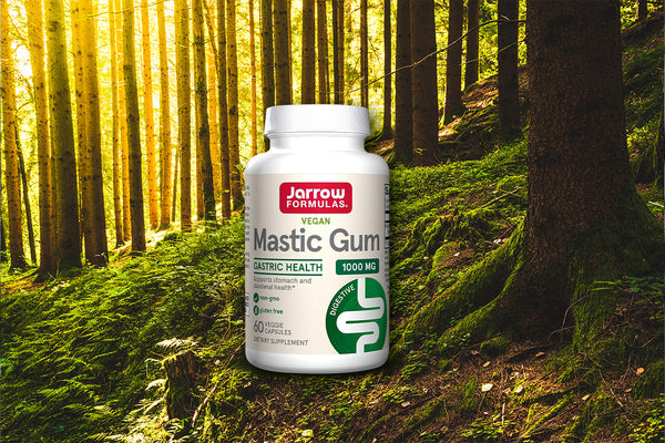 Mastic Gum: A Natural Remedy for Gut Health and Digestive Support