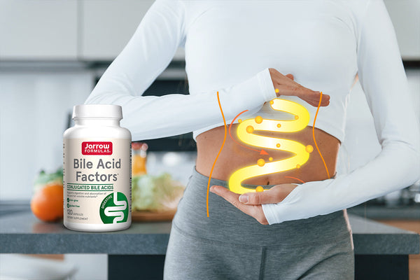Bile Acid Factors: How They Support Digestion and Fat Absorption