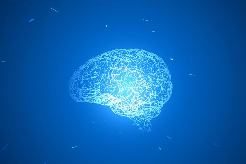 Advanced Nerve Support: Elevate Your Health Today