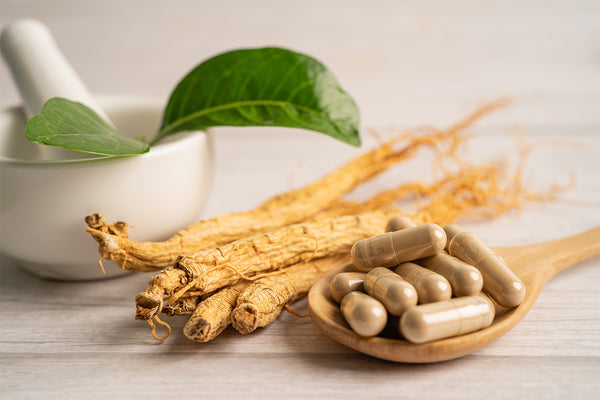 Can American Ginseng Be Brought Back to China in 2024?