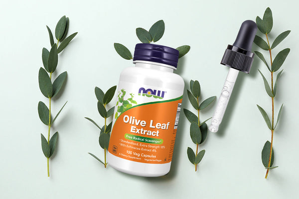 Olive Leaf Extract Benefits: Natural Immune and Heart Support