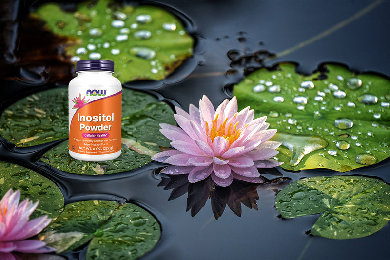 Inositol Powder: Gentle Support for Mood, Hormones, and Metabolism