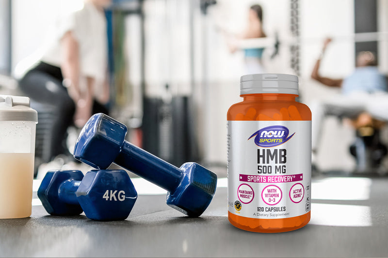HMB Supplement Guide: Muscle Recovery and Strength Support