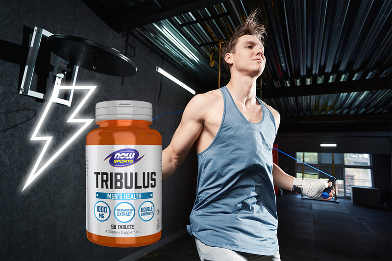 Tribulus Supplements for Vitality and Men’s Health