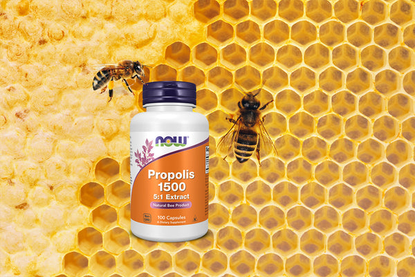 Propolis Benefits: Natural Support for Immunity and Wellness