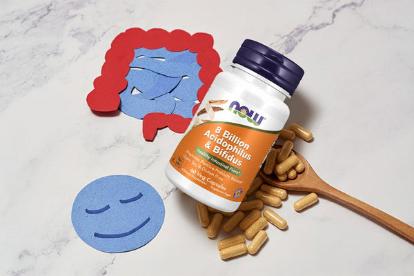 Lactis Bifidus Benefits: The Gut-Friendly Bacteria You Need