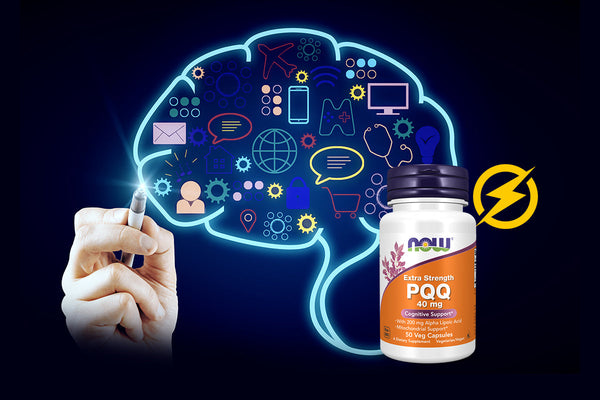 PQQ Supplements: How They Support Cellular Energy and Brain Health