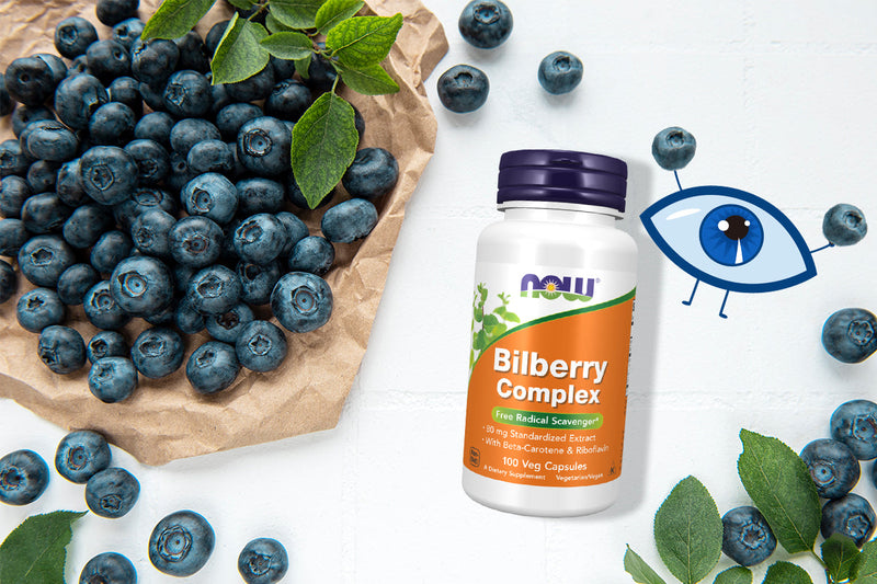 Bilberry Supplements for Eye Health and Circulation Support