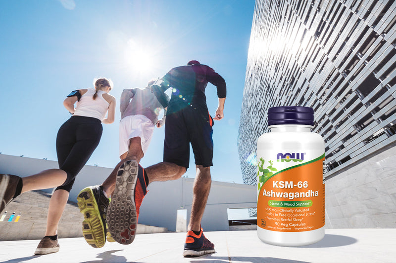 KSM-66 Ashwagandha Explained: Stress, Stamina, and Mental Clarity Boost