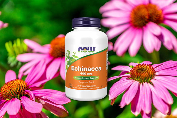 Echinacea Supplements: Natural Immune Support You Can Trust