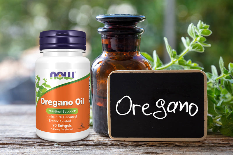 Why Oil of Oregano Supplements Are a Natural Shield for Immune Health