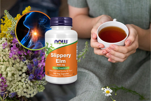 Slippery Elm Bark Benefits: Natural Relief for Digestion and Throat