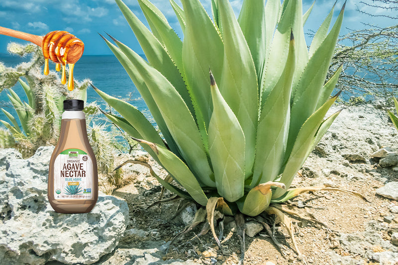 Agave Nectar vs Sugar: Which Sweetener Is Healthier for You?