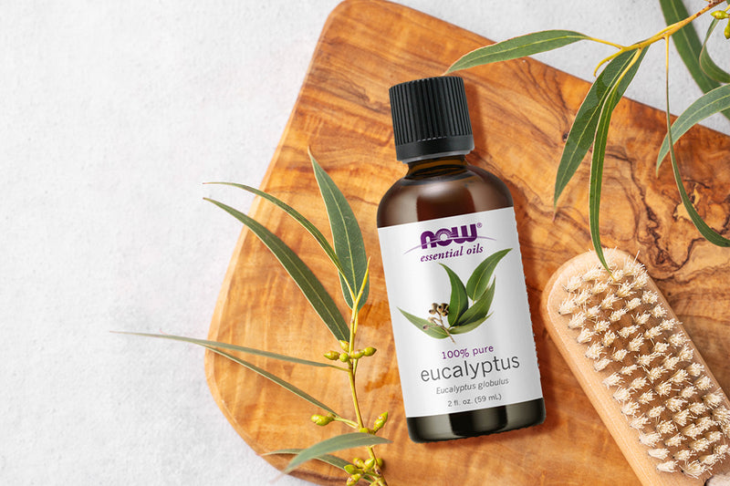 Eucalyptus Oil Benefits: Breathing Better and Living Fresher