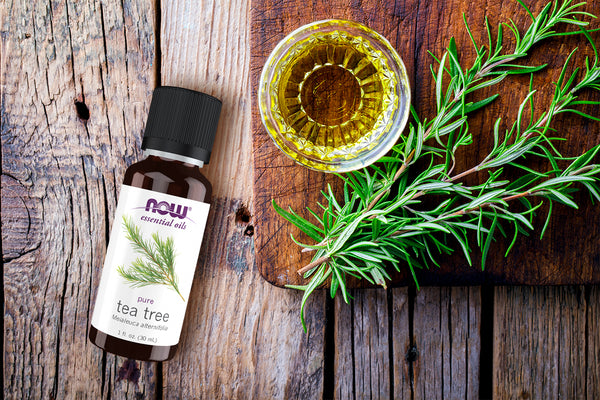 Tea Tree Oil NOW: Why It’s a Skincare and Haircare Favorite