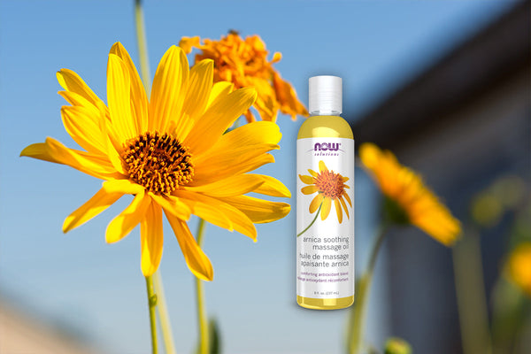 Arnica: Nature’s Remedy for Pain and Bruises