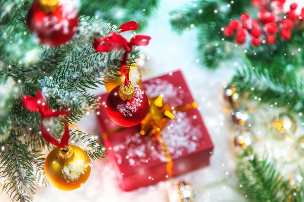 Holiday Gift Season Wellness Picks: Give the Gift of Health