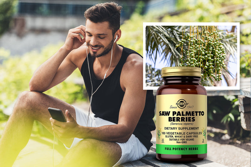 Choosing the Best Saw Palmetto Supplement for Prostate and Hair Support