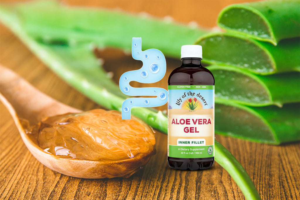 Aloe Vera Juice Benefits: Daily Digestive Support Made Simple | DailyVita