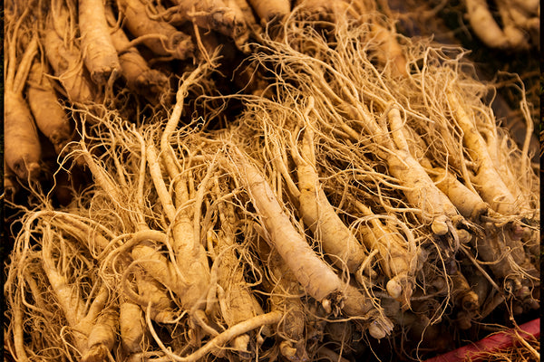 From Roots to Wellness: The History and Healing Powers of American Ginseng