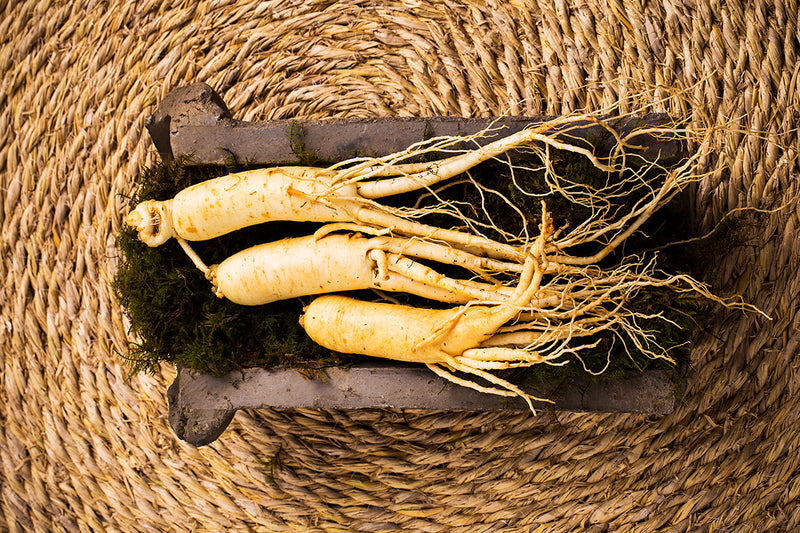 Revitalize Your Meals: Cooking with American Ginseng for Flavor and ...