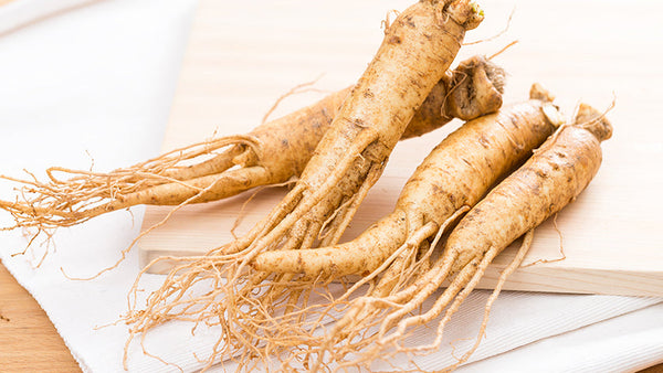 American Ginseng Benefits for Female