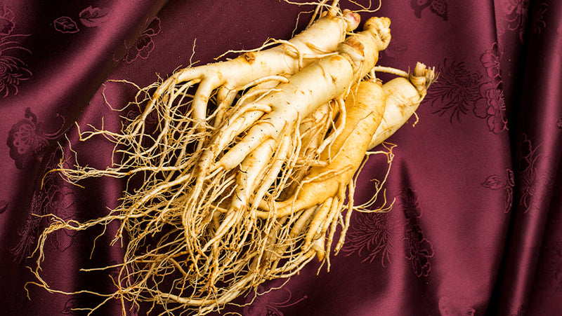 American Ginseng Benefits for Men: Boosting Sexual Health Naturally