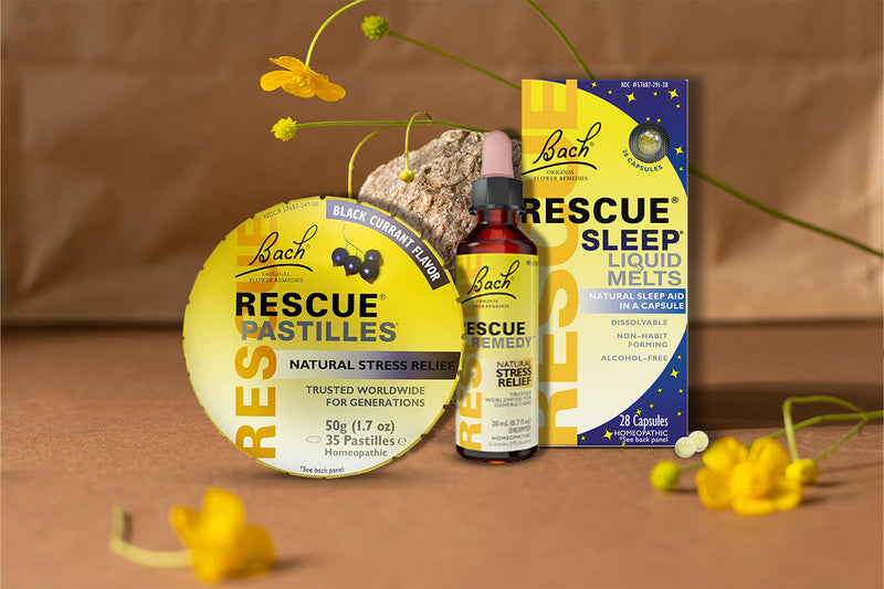 Bach Rescue Explained: Flower Remedies for Stress Relief