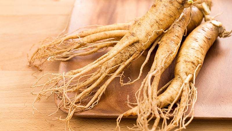 Is American ginseng good for diabetic patient