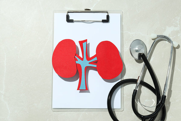 Top Vitamins to Support Kidney and Liver Health