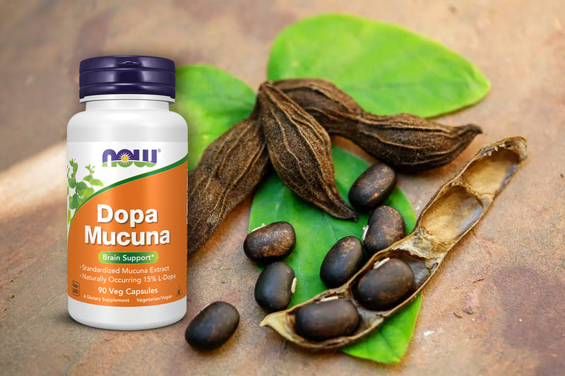 Dopa Mucuna Benefits: Boosting Mood Naturally