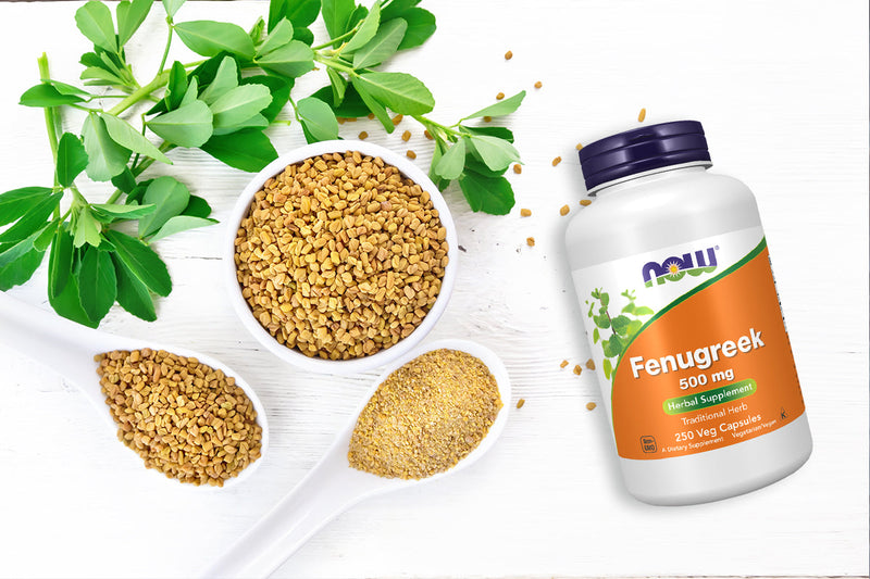 Top Fenugreek Uses for Women’s Health, Digestion, and Lactation Support