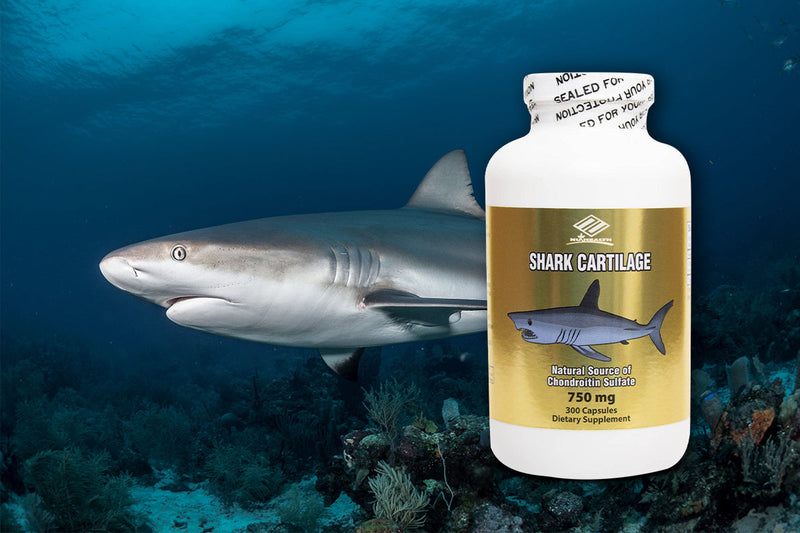 NuHealth Shark Cartilage: Joint Support and Mobility Made Easy