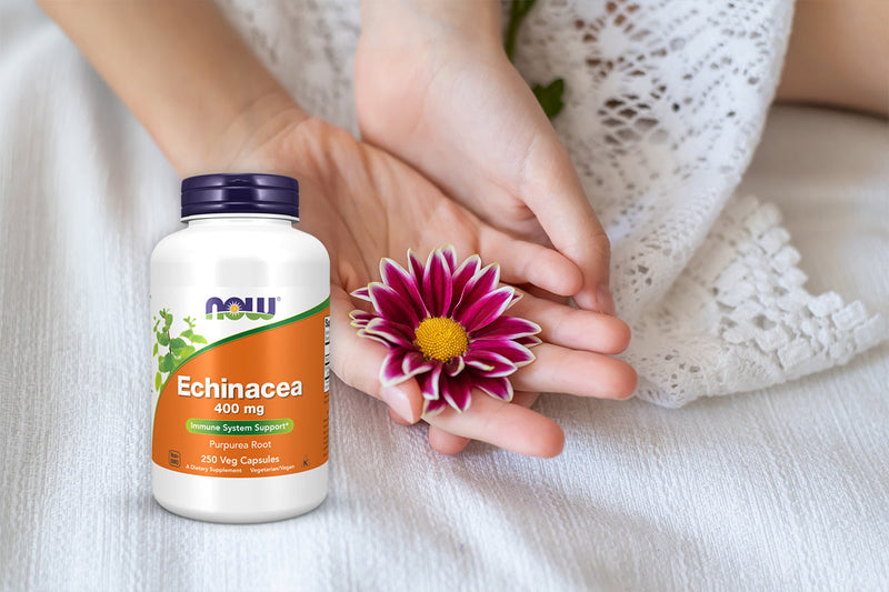 Echinacea Dietary Supplement: Boosting Immunity the Natural Way