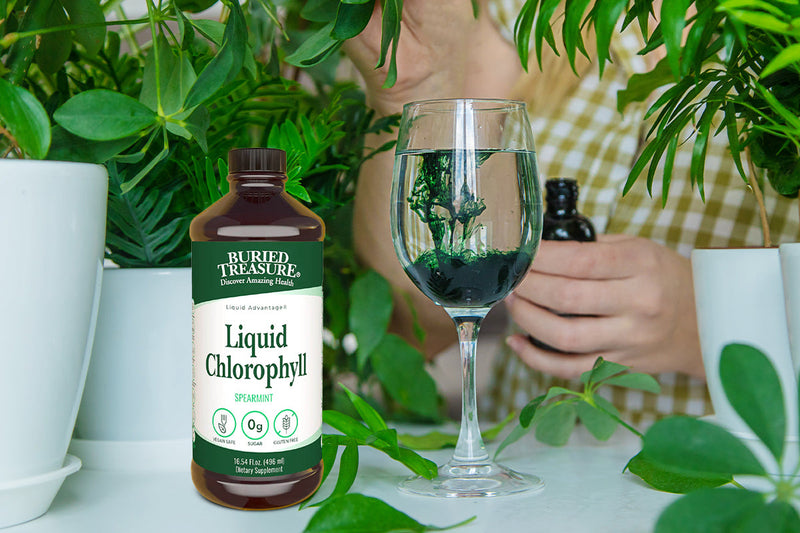 Chlorophyll Drops: Nature’s Detox Secret Everyone Is Talking About