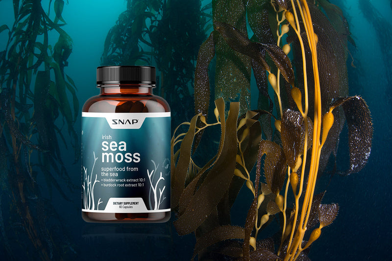 Sea Moss Extract Benefits: The Marine Superfood Your Body Craves