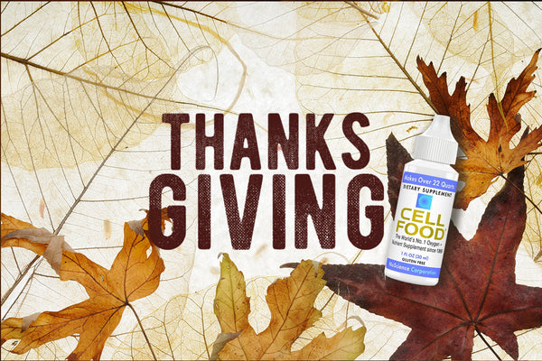 DailyVita Thanksgiving Specials: Wellness Deals You Can't Miss