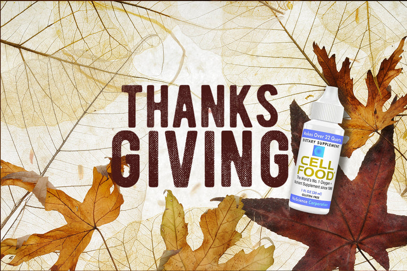 DailyVita Thanksgiving Specials: Wellness Deals You Can't Miss