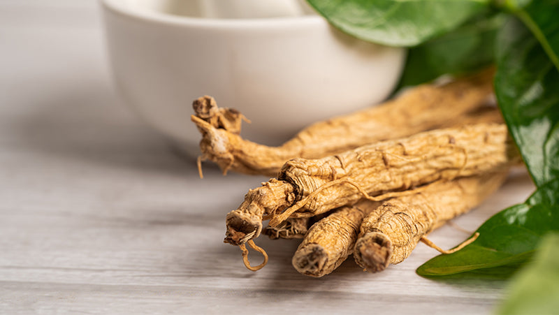 What is the benefits of American Ginseng and what does it do for the body?