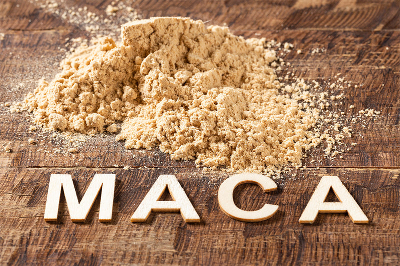 Maca Root: The Superfood That Boosts Energy and Fertility