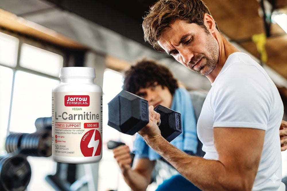 Best Online Vitamin Supplement Store Best Online Vitamin Supplement Store