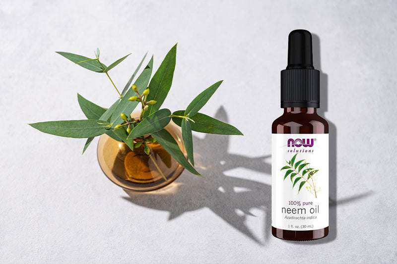 Neem Oil Uses for Skin, Hair, and Natural Health