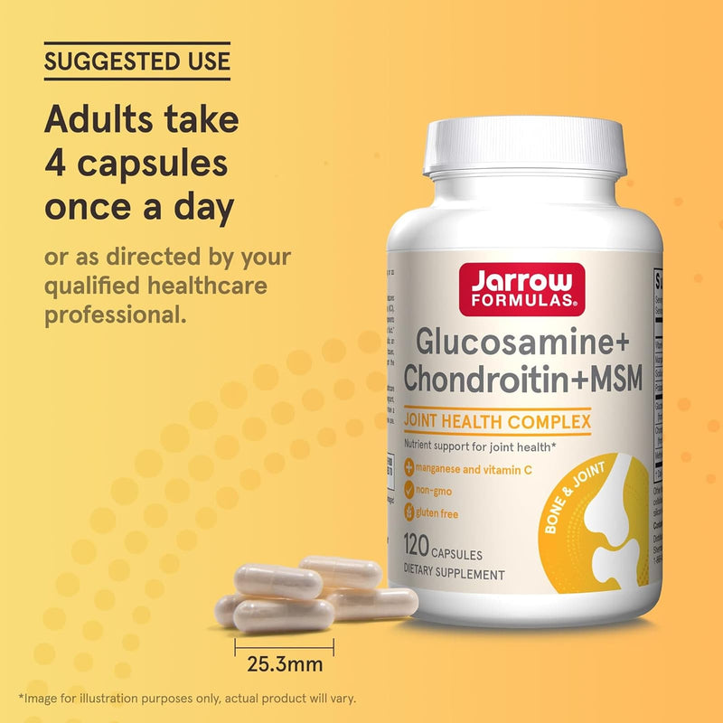 Jarrow Formulas Glucosamine + Chondroitin + MSM with Manganese and Vitamin C 120 Capsules - DailyVita
