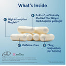 Jarrow Formulas MagMind Productivity 60 Veggie Caps - DailyVita