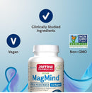 Jarrow Formulas MagMind Stress Resistance with Magtein 1g, 60 Veggie Caps - DailyVita