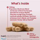 Jarrow Formulas Energy Optimizer 90 Veggie Caps - Mushrooms & Adaptogens - DailyVita